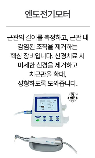 엔도전기모터